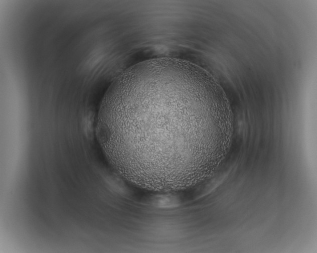 X0000112380275200908201528