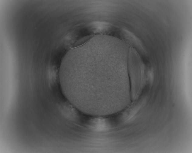 X0000112380276200908201528