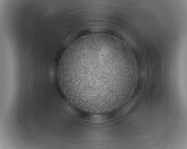 X0000112380277200908201528