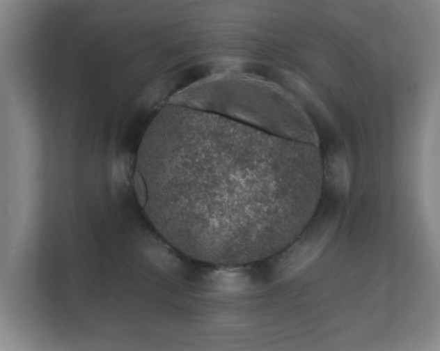 X0000112380280200908201528