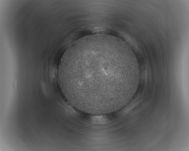 X0000112380281200908201528