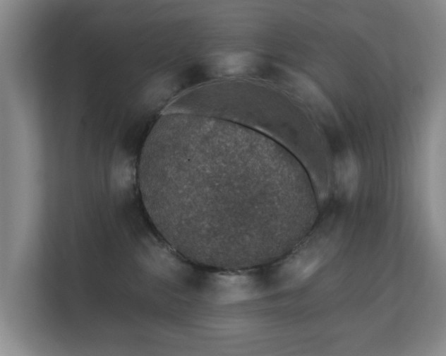 X0000112380284200908201528