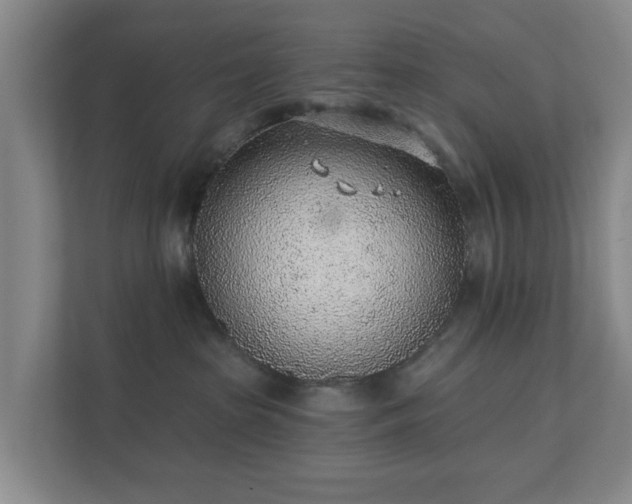 X0000112380285200908201528