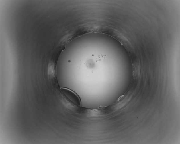 X0000112380287200908201528