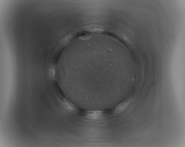 X0000112380288200908201528