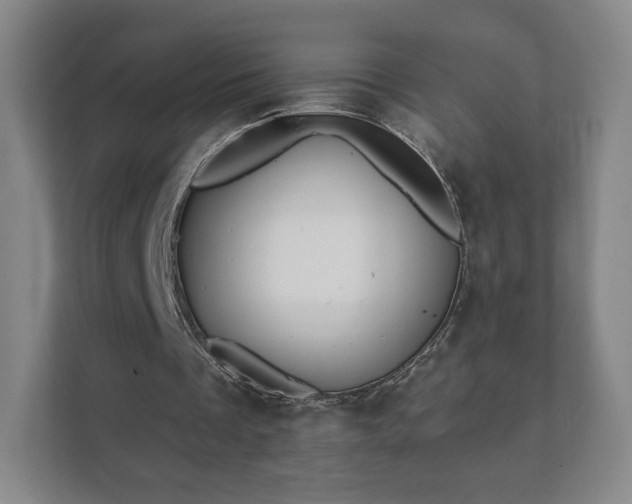 X0000112380289200908201528