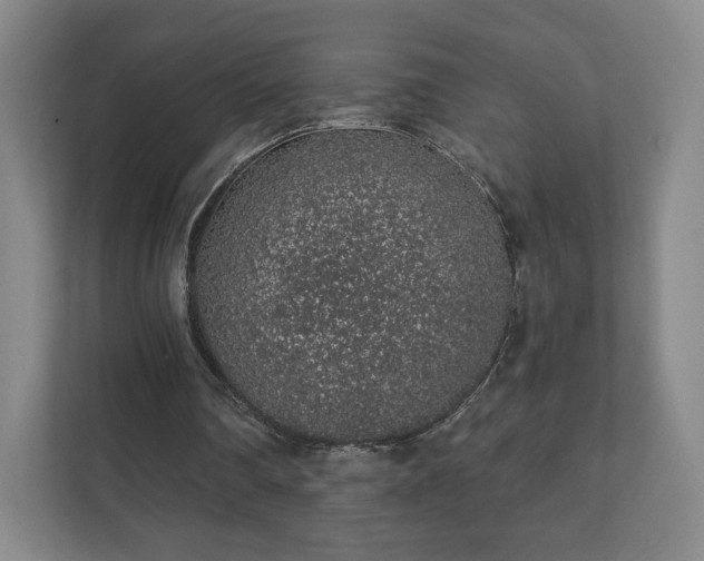 X0000112380290200908201528