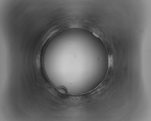 X0000112380291200908201528