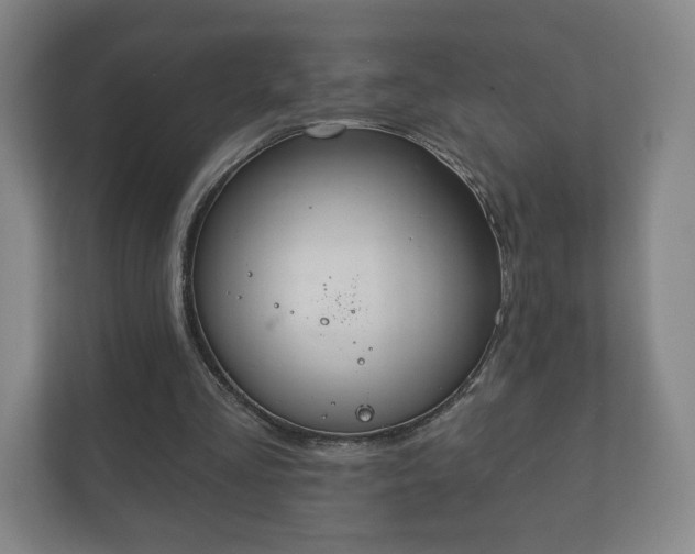 X0000112380293200908201528