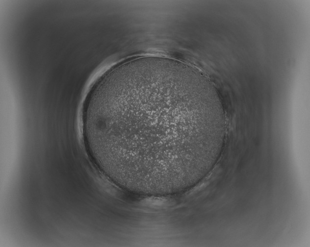 X0000112380294200908201528