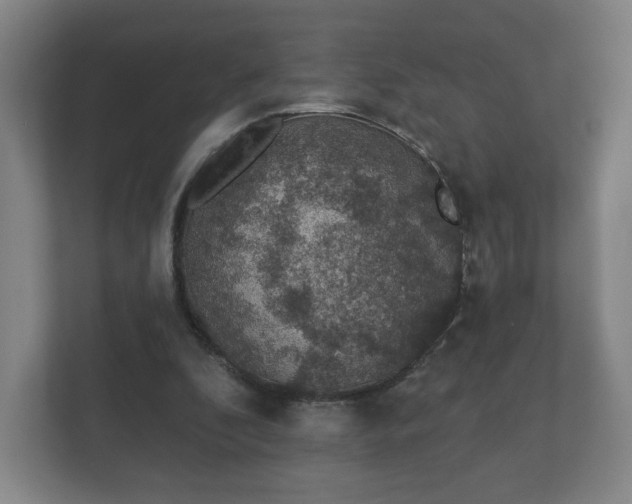 X0000112380296200908201528