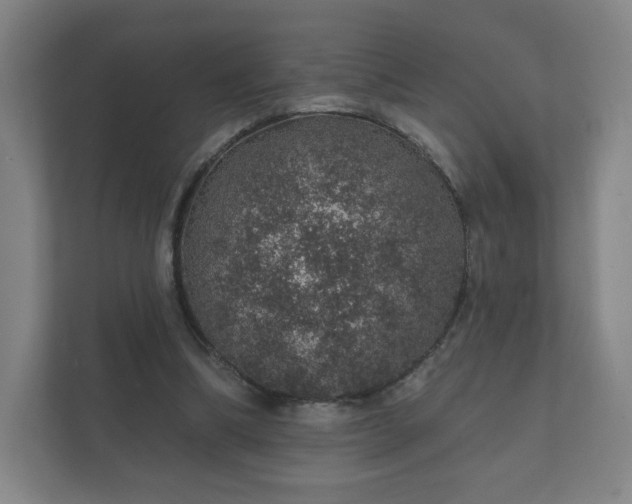 X0000112380298200908201527