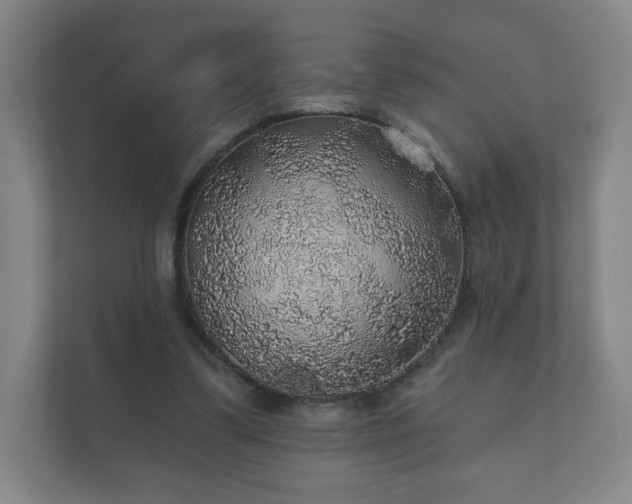 X0000112380299200908201527