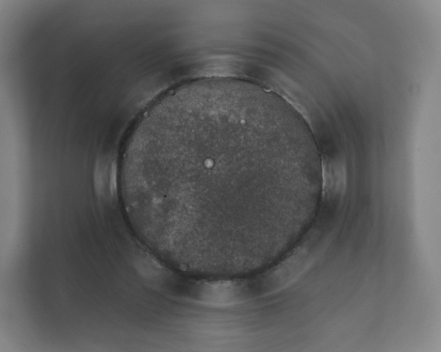 X0000112380301200908201527