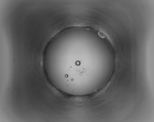 X0000112380305200908201527