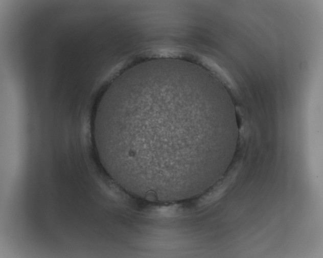 X0000112380306200908201527