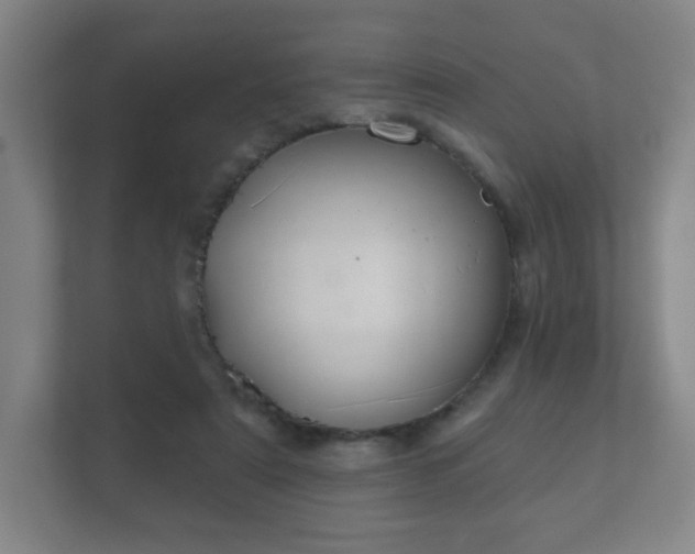 X0000112380307200908201527