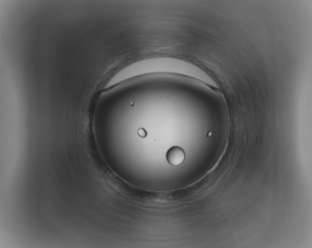 X0000112380308200908201527