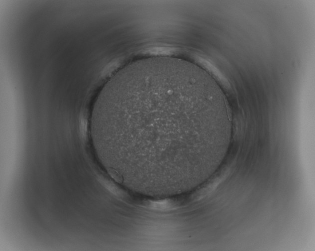 X0000112380309200908201527