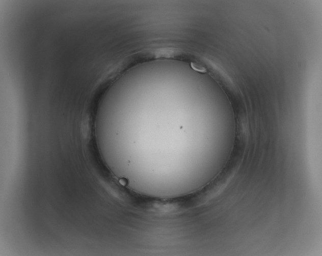 X0000112380311200908201527