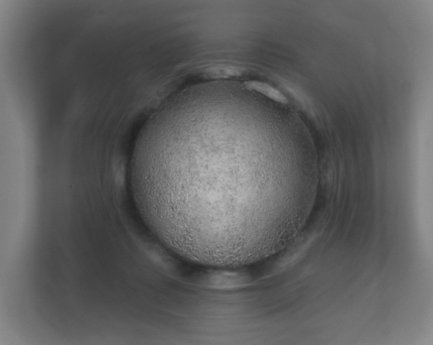 X0000112380315200908201527