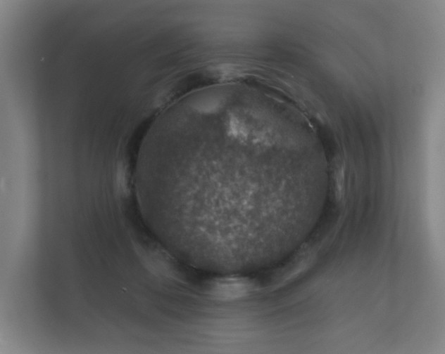 X0000112380316200908201527