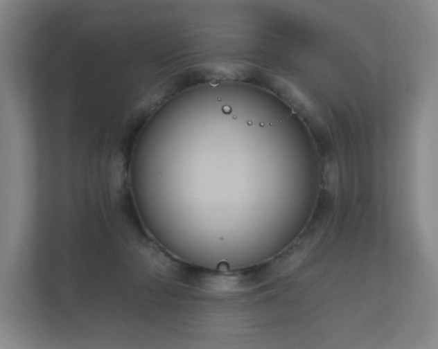 X0000112380318200908201527