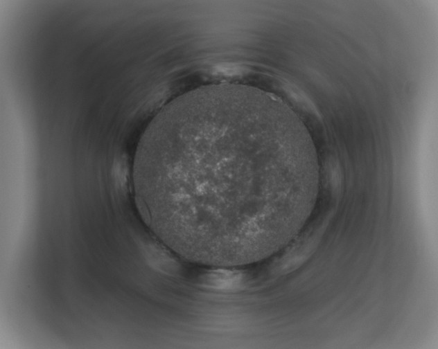 X0000112380328200908201527