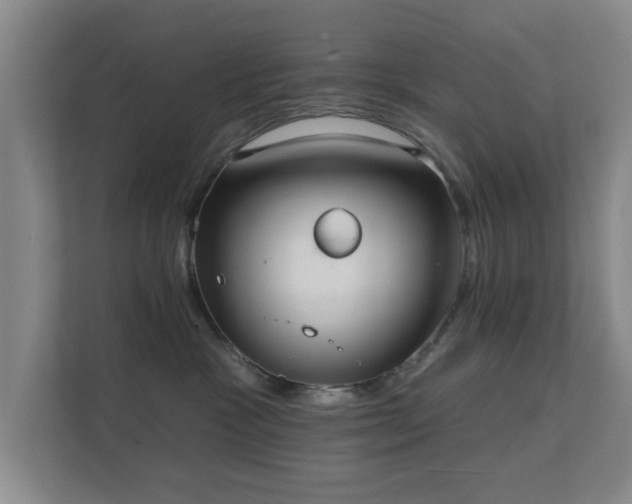 X0000112380333200908201527