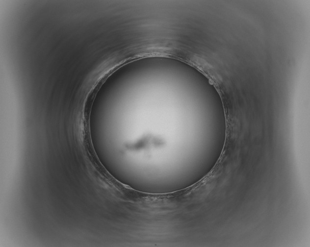 X0000112380338200908201526