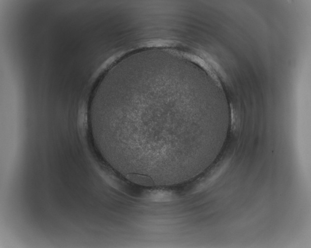 X0000112380348200908201527