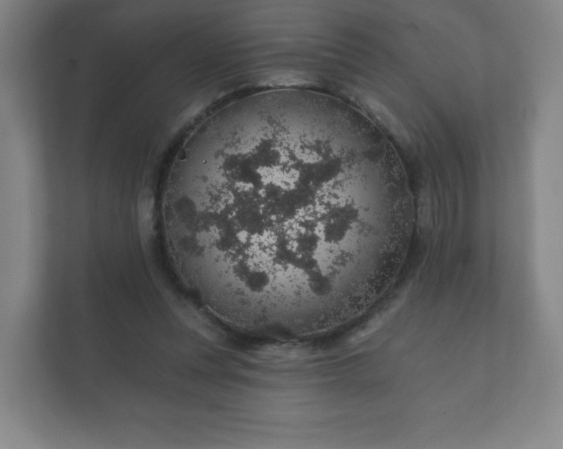 X0000112380351200908201527