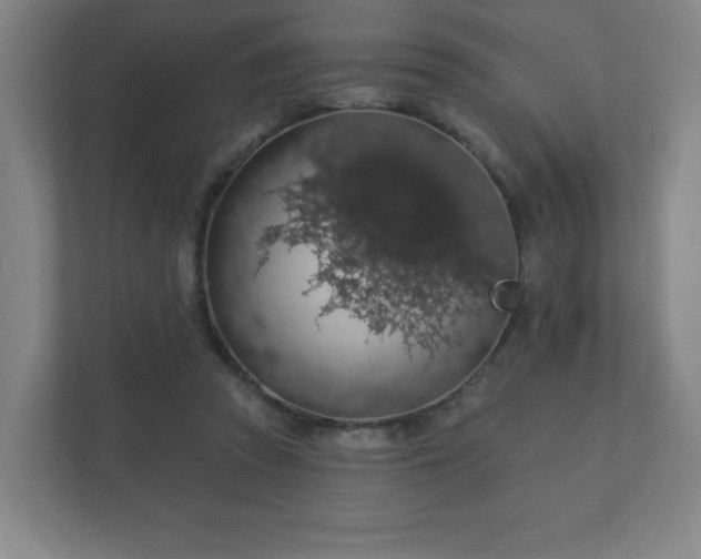 X0000112380353200908201527