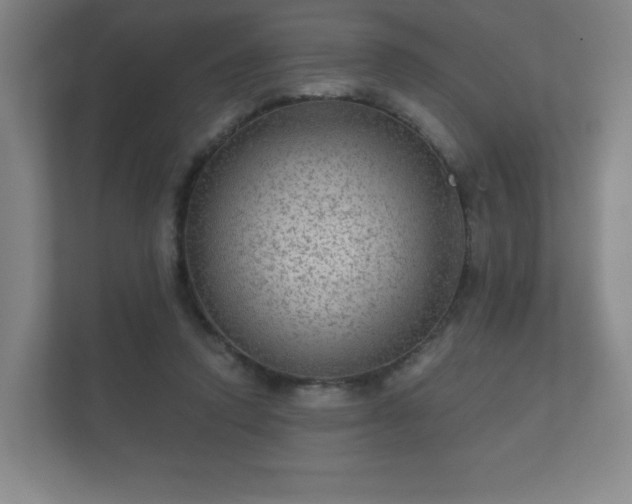 X0000112380354200908201527