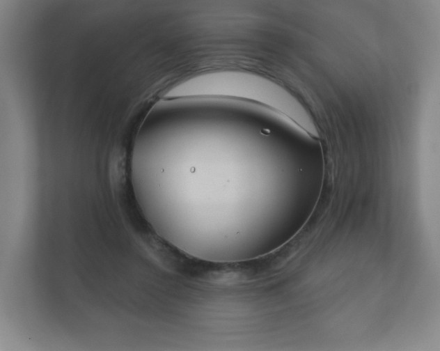 X0000112380356200908201527