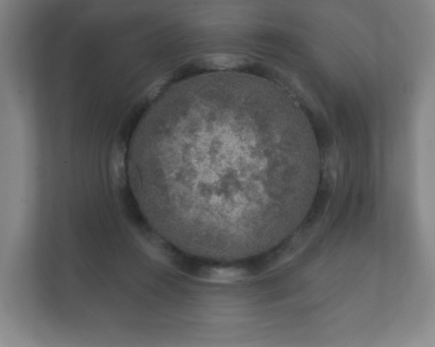 X0000112380360200908201527