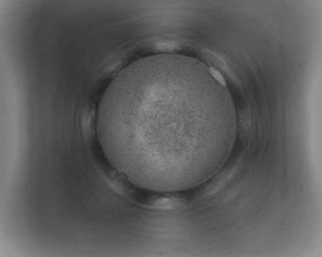 X0000112380364200908201527