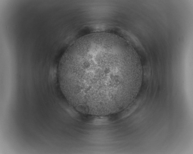 X0000112380369200908201527