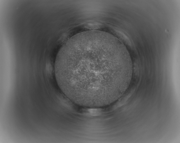 X0000112380371200908201527