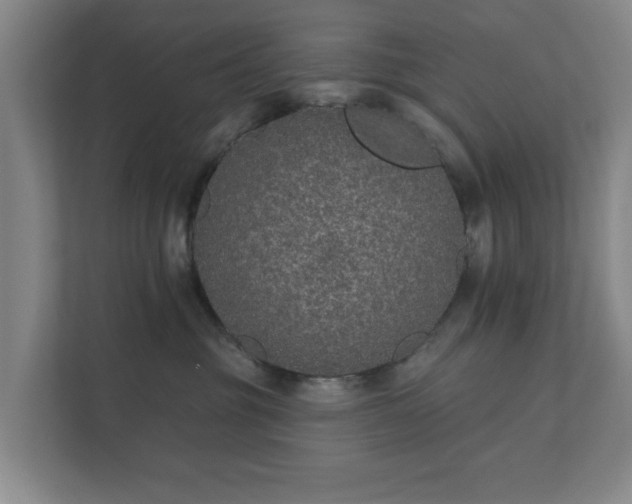 X0000112380381200908201527