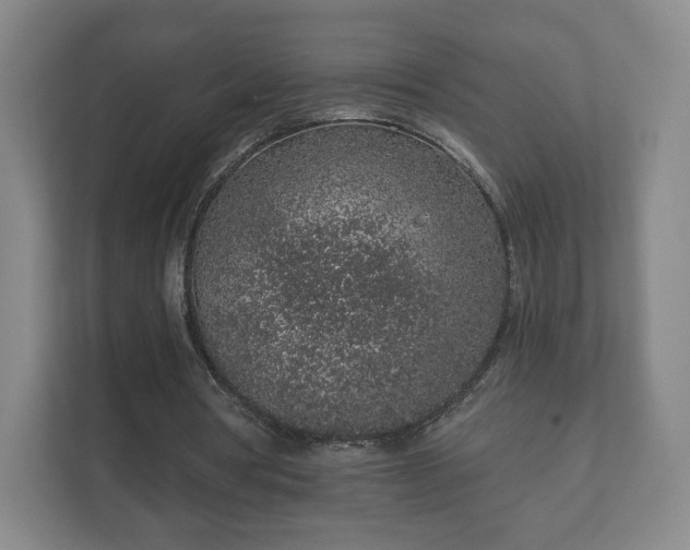 X0000112380386200908201526