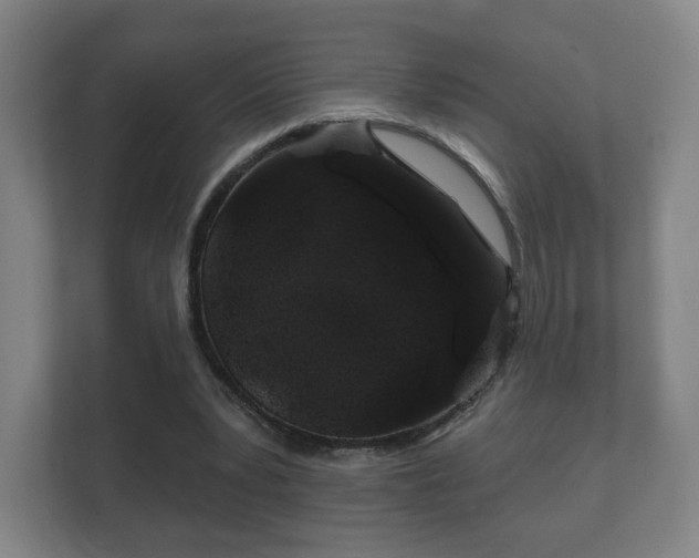 X0000112380391200908201526