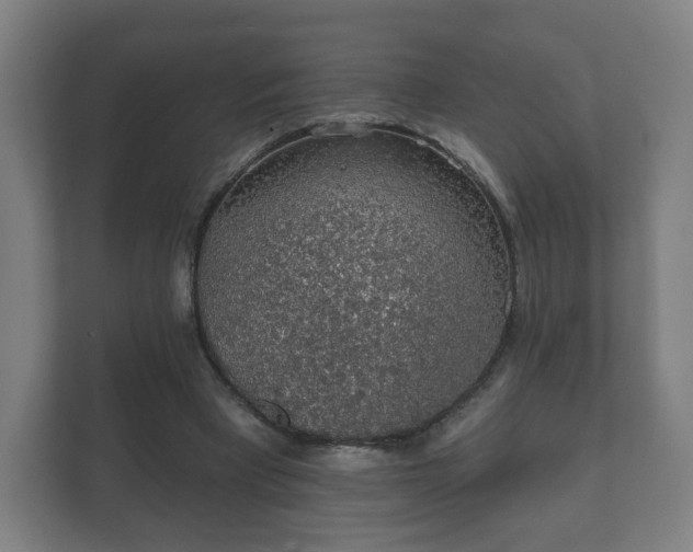 X0000112380393200908201526