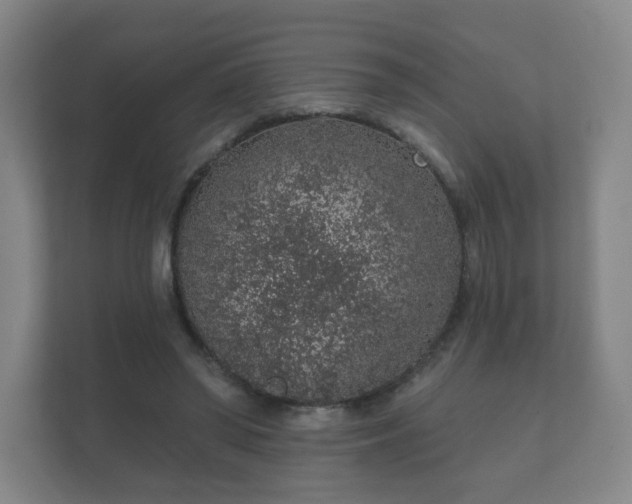 X0000112380398200908201526