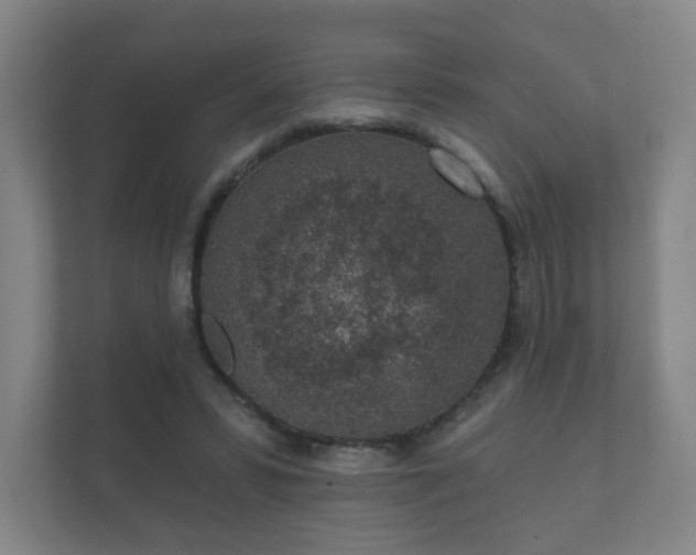 X0000112380399200908201526