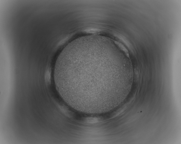 X0000112380404200908201526