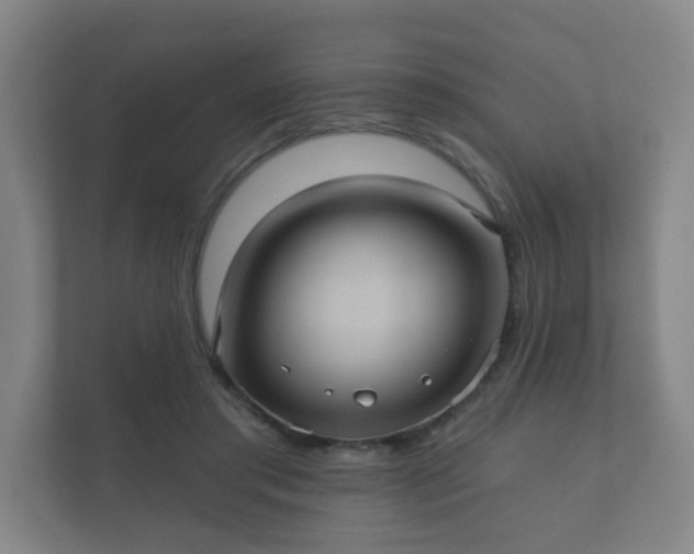 X0000112380405200908201526