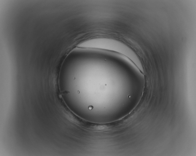 X0000112380409200908201526