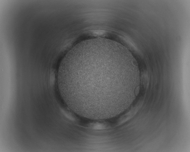 X0000112380412200908201526