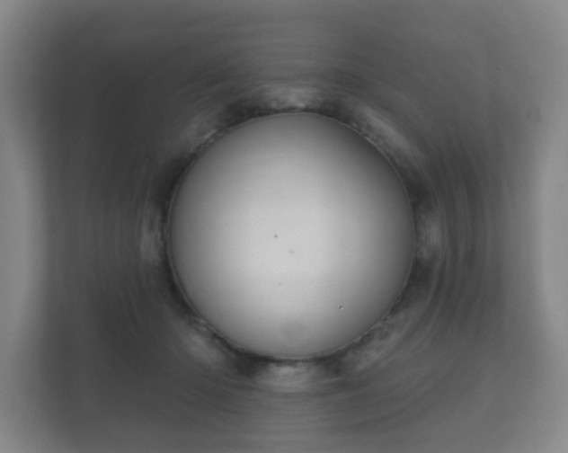 X0000112380414200908201526